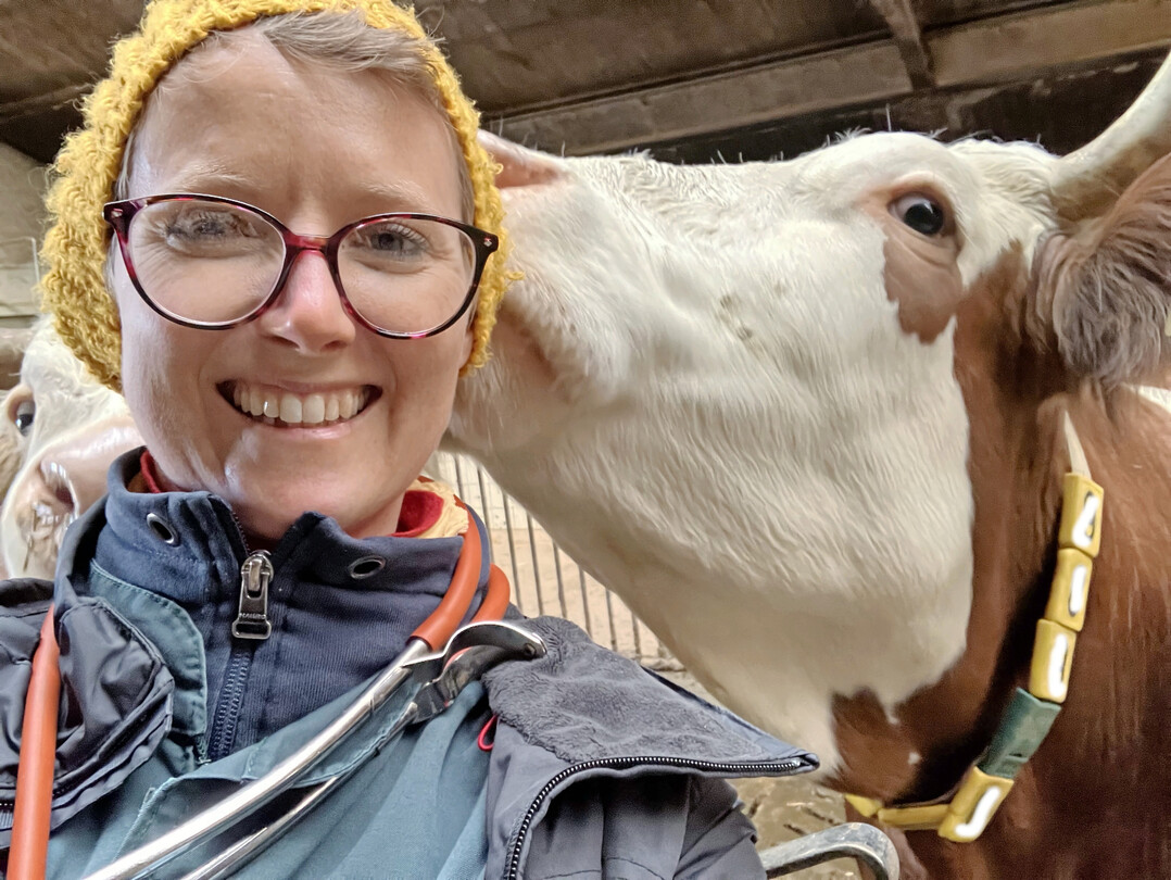 1 �Aktuell haben wir kaum Virusnachweise und das ist sicher auch der guten Impfbereitschaft der Landwirte zu verdanken�, sagt Tier�rztin Amelie Armbruster von der Tierklinik Gessertshausen im bayerischen Landkreis Augsburg.