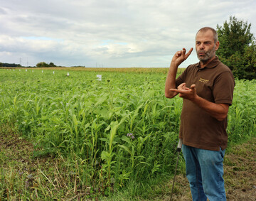 F�r Alois Huschle steht fest: Eine Zwischenfrucht muss behandelt werden wie eine Hauptkultur. Auf einem Teil der 115 ha hat er ein Versuchsfeld mit verschiedenen Zwischenfr�chten angelegt.
