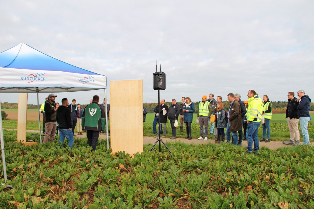 SBR-Gipfel: Auf Einladung der süddeutschen SBR-Task-Force haben sich am 15. Oktober 2025 über 150 Experten aus dem gesamten Bundesgebiet in Offenau getroffen, um aktuelle Entwicklungen in der Bekämpfung der Schilf-Glasflügelzikade zu diskutieren.