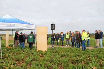 SBR-Gipfel: Auf Einladung der s�ddeutschen SBR-Task-Force haben sich am 15. Oktober 2025 �ber 150 Experten aus dem gesamten Bundesgebiet in Offenau getroffen, um aktuelle Entwicklungen in der Bek�mpfung der Schilf-Glasfl�gelzikade zu diskutieren. 