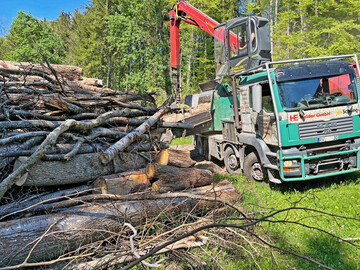 Brennholz stabilisiert den Stammholzmarkt: Ohne den Brennholzmarkt ist die Bereitstellung von Stammholz wirtschaftlich h�ufig nicht darstellbar. Das Bild zeigt die Hackschnitzel Herstellung mit einem sogenannten Hacker. 