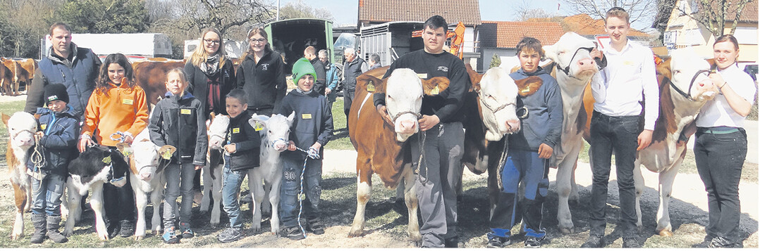 Klein, aber oho: Beim Vorf�hrwettbewerb zeigten schon die Kleinsten, dass sie mit Rindern umgehen k�nnen.