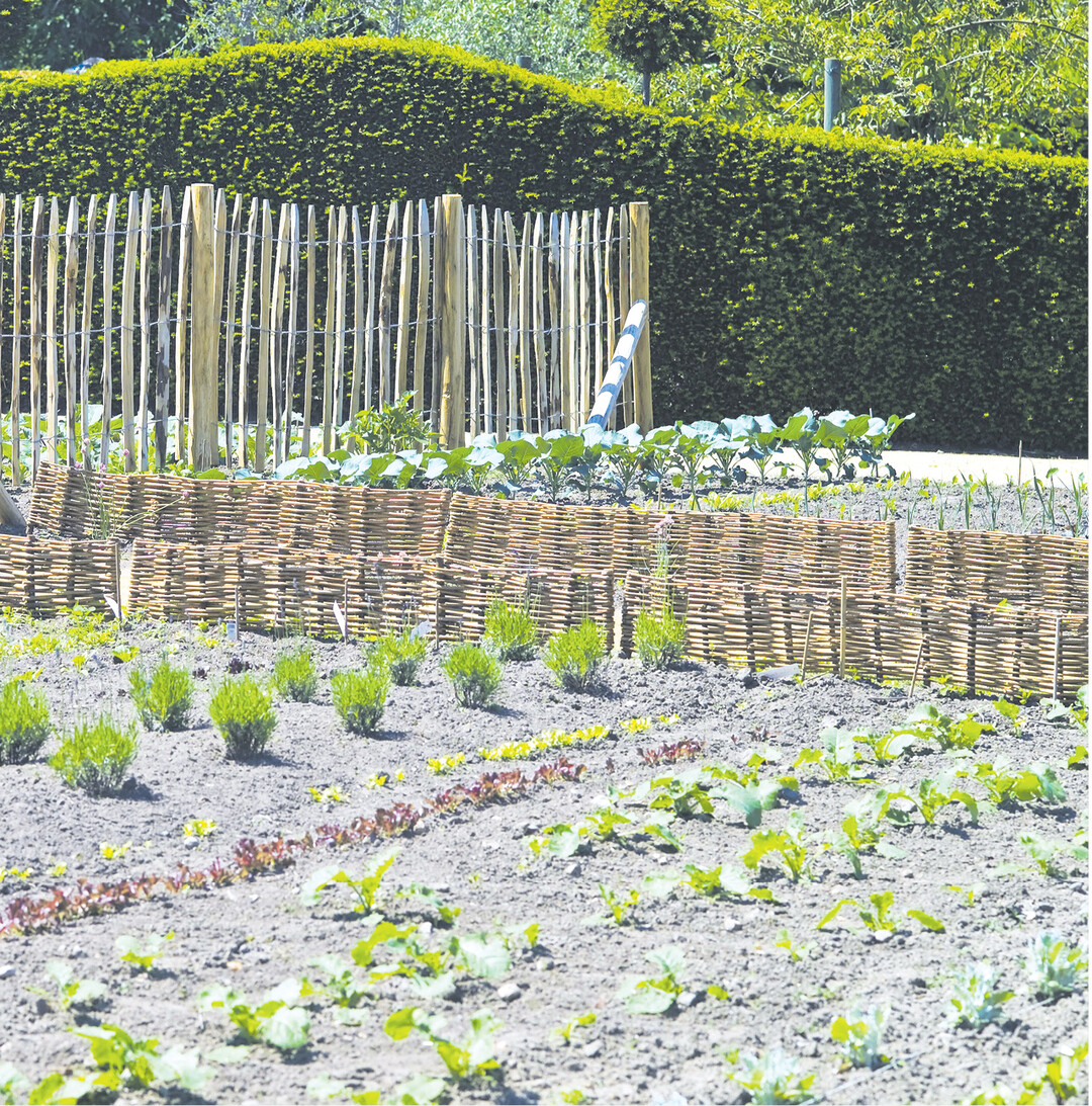 bild der woche �Alte Sorten & Konsorten. Gem�se mit Kultur". Unter diesem Motto steht am 22. Mai der Fr�hlingsmarkt im Freilichtmuseum Beuren. G�rtner und H�ndler aus der Region bieten an ihren St�nden auf dem Museumsgel�nde Jungpflanzen, Beet- und K�chenkr�uter, Gartenstauden und Zierpflanzen zum Kauf an. Der Markt ist von 11 bis 17 Uhr ge�ffnet. Weitere Informationen im Netz unter www.freilichtmuseum-beuren.de.