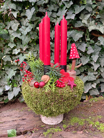 Moos ist ein idealer Werkstoff f�r adventliche Dekoration. Das saftige Gr�n harmoniert mit weihnachtlichem Rot.