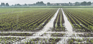 Schlecht abflie�ende Niederschl�ge deuten in der Regel auf Struktursch�den im Untergrund hin.