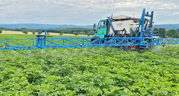 Resistente Sorten k�nnten den Kupferbedarf im Kartoffelanbau reduzieren.