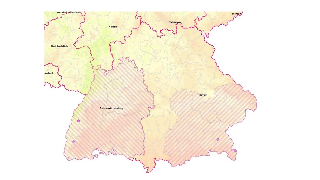 Abb. 1: Karte mit BTV-8-Ausbrüchen in Baden-Württemberg und Bayern (rosa Punkte). Schraffierte Gebiete: Aktuell nicht freie BTV-8-Zonen.