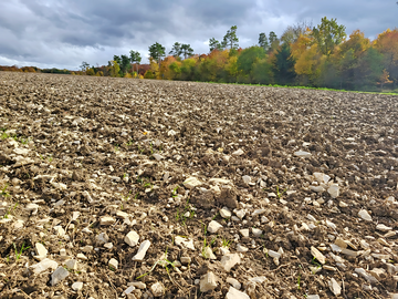 Rendzina unter Ackernutzung bei Hayingen im Kreis Reutlingen.
