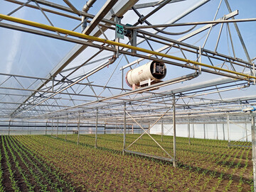 Im jetzt wieder aufgelegten Bundesprogramm Energieeffizienz wird unter anderem auch die energetische Sanierung von Gew�chsh�usern gef�rdert.