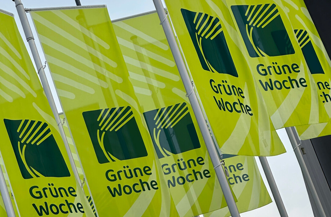 Die Fahnen der Gr�nen Woche in Berlin.