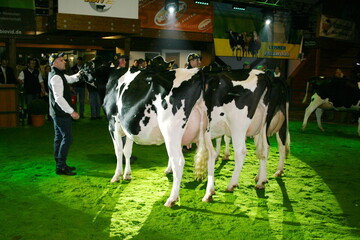 Bester Vorführer gesamt: Johannes Brendl, Salem-Buggensegel