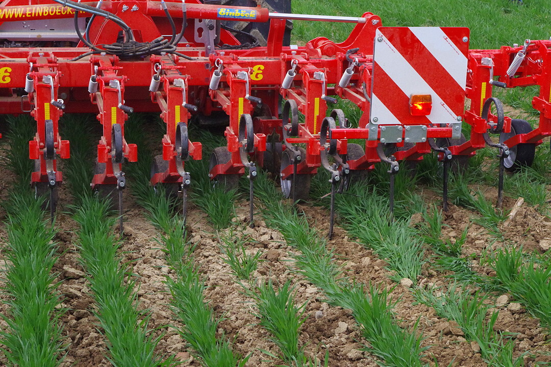 Bioland Hack- und Striegeltag 2018