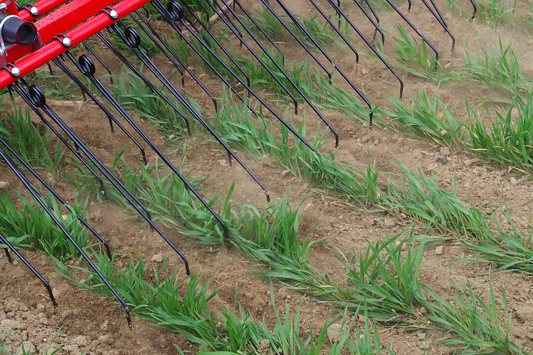 Striegel Einb�ck Aerostar Exact: Der bis zu zw�lf Meter breite Zinkenstriegel verf�gt �ber eine Verbesserte Bodenanpassung und Tiefenf�hung durch ein Heckfahrwerk. Zinken von sieben Millimeter Breite und 60 Zentimeter L�nge sind an beweglichen Striegelfeldern von 1,5 Meter Breite angebracht.