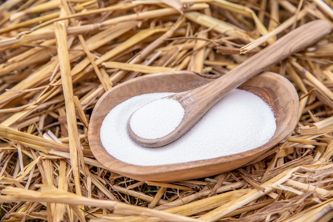 Der Einsatz des Futterzusatzstoffes Bovaer, den die DSM Nutritional Products Europe AG entwickelt hat, stellt laut dem Unternehmen eine vielversprechende Möglichkeit dar, die Methanemissionen von Milchkühen im nennenswerten Umfang zu reduzieren und damit einen wichtigen Beitrag zur Reduzierung der Treibhausgasemissionen aus der Landwirtschaft zu leisten.