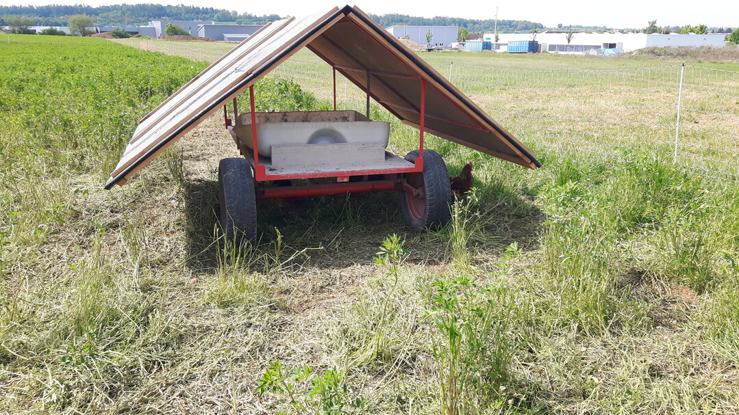 Einrichtung mit mehreren Funktionen: Unter dem Dach befindet sich das Sandbad.