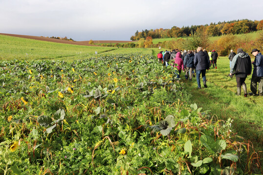 Sonne, Wind und Regen begleiteten den 16. Bodenfruchtbarkeitstag im Kraichgau.