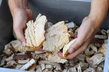 Effits aus Nadelholz. Durch die grobe und vorgebrochene Struktur unterscheiden sich die Effits nicht nur im Erscheinungsbild von herk�mmlichen Hackschnitzeln, sondern zeigen auch andere Lagerungs- und Trocknungseigenschaften.