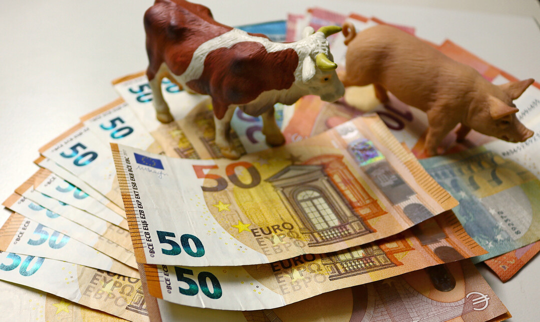 Der Agrarhaushalt 2026 ist unter Dach und Fach. Mit knapp sieben Milliarden Euro für das Agrarressort stehen rund 100 Millionen Euro mehr zur Verfügung als 2025.