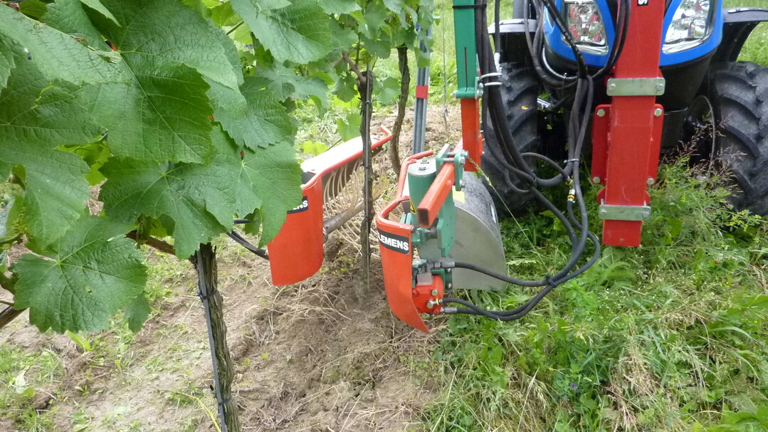 Infos zu den zu anstehenden Ausbrecharbeiten und zum St�mmchenputzen lesen Sie in unseren Arbeitshinweisen in BWagrar 18/2023.