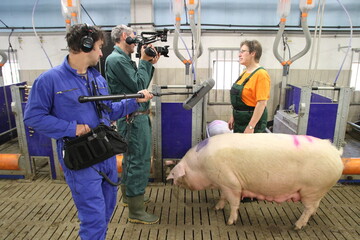 Landwirtin praktiziert �ffentlichkeitsarbeit und erkl�rt bei Filmaufnahmen die Sauenhaltung.