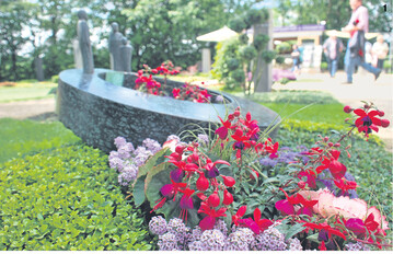 Idee für den Schatten: Fuchsien, hier gemeinsam mit fliederfarbenem Steinkraut, Knollen-Begonie und violettem Leberbalsam.