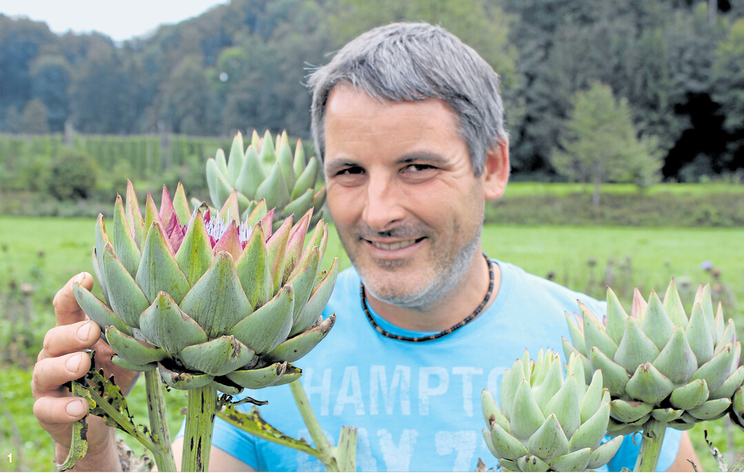 lm Argental reifen die Artischocken von Engelbert Lanz. Er schneidet die Bl�ten ab und vermarktet sie direkt oder �ber G�rtnereien in der Umgebung. Lanz ist st�ndig dabei, Neues auszuprobieren.