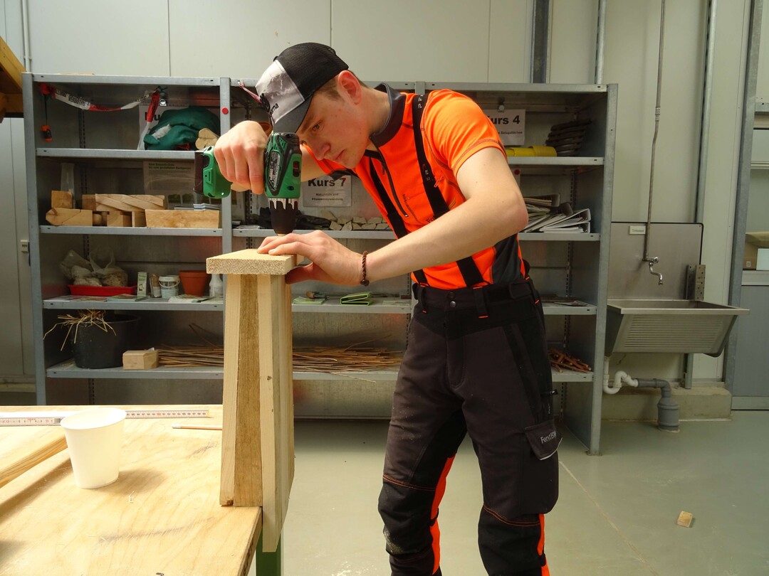 ...auch ein Fledermauskasten musste gebaut werden.