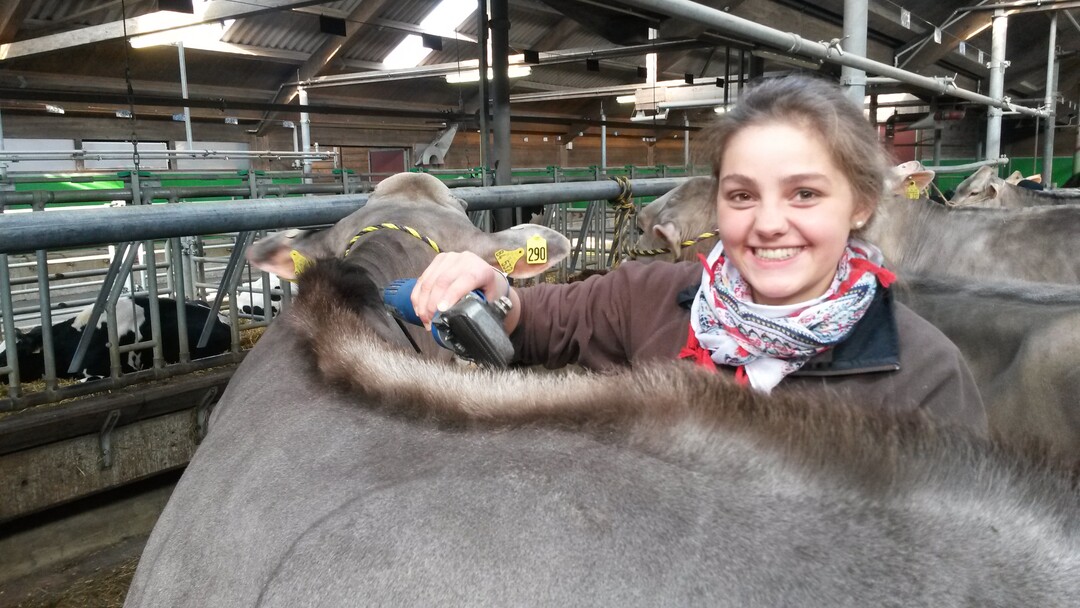 Young Breeder Akademy - Modul 1