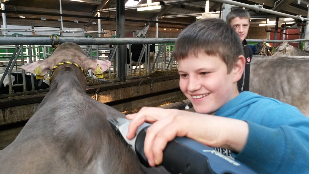 Young Breeder Akademy - Modul 1