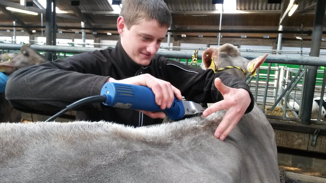 Young Breeder Akademy - Modul 1