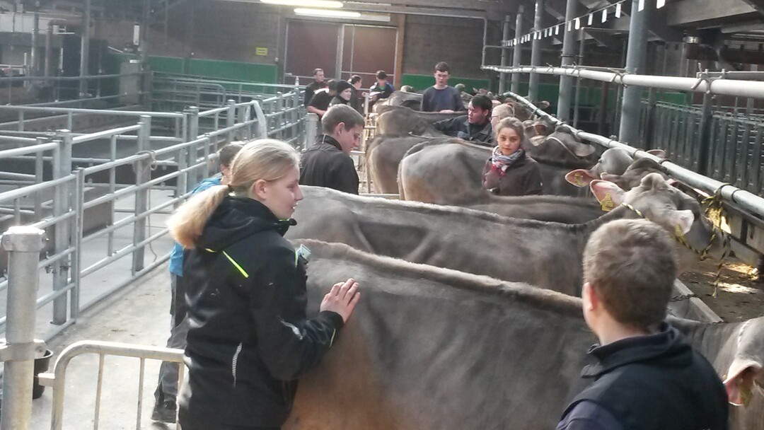 Young Breeder Akademy - Modul 1