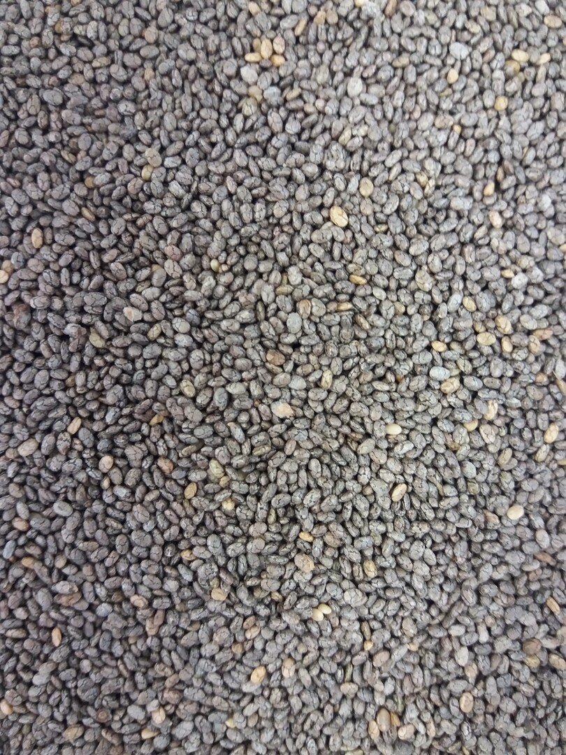 Chia-Samen sind ein beliebtes Superfood.