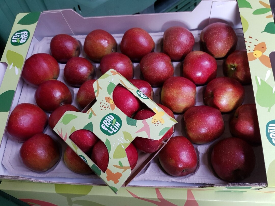 „Fräulein – eine deutsche Apfelentdeckung“ ist der Slogan für den neuen Markenauftritt der Apfelsorte GS66.