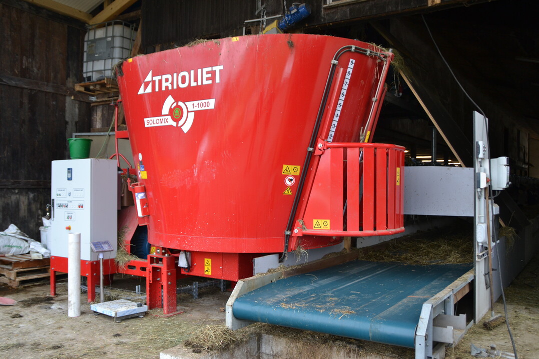 Ein stationärer Futtermischer transportiert die Ration auf das Futterband.