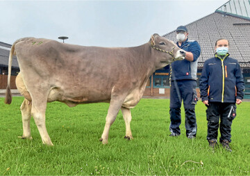 Den Spitzenpreis beim Braunvieh mit 2100 Euro erzielte eine Helau-Tochter aus dem Betrieb Andreas H�rmann, Unteropfingen.