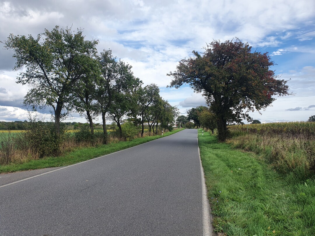 Typisch Brandenburg: niemand sonst unterwegs