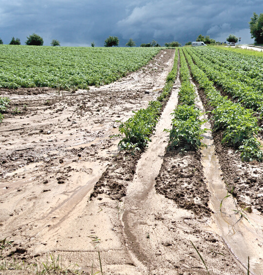 Die schlechte Benetzbarkeit stark ausgetrockneter B�den ist eine der Ursachen f�r Erosion.