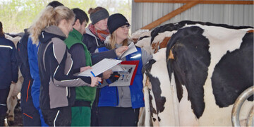 Passen die R�ckenfettdicke und der BCS-Wert? Studierende der Fachhochschule Kiel suchten bei den Holsteink�hen eines Praxisbetriebes Antworten auf diese Fragen.