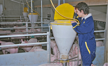 Mit n�hrstoffreduzierten Rationen k�nnen Schweine bedarfsgerecht und umweltfreundlich gef�ttert werden. Als Folge davon scheiden die Tiere weniger Stickstoff aus.