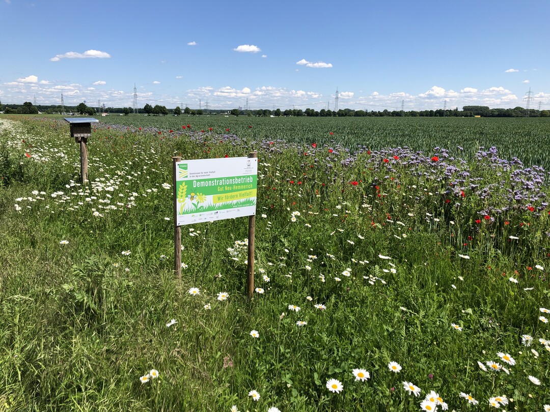 Mit den jetzt bewilligten Förderbescheiden geht F.R.A.N.Z. in die dritte von insgesamt vier Phasen.