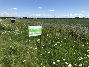 Mit den jetzt bewilligten F�rderbescheiden geht F.R.A.N.Z. in die dritte von insgesamt vier Phasen.