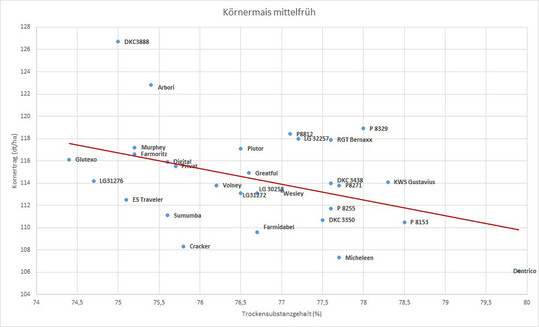 Körnermais mittelfrüh