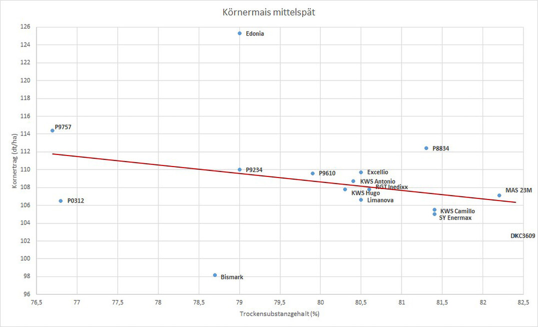 Körnermais Mittelspät