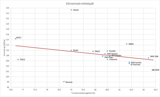 Körnermais Mittelspät