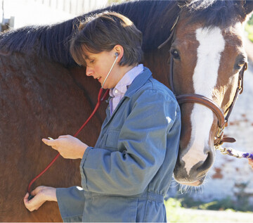 F�r die Behandlung ihrer Pferde m�ssen die Besitzer k�nftig tiefer in die Tasche greifen.