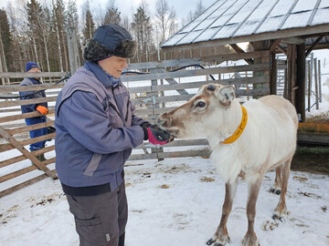 Christina Löther-Mourujärvi ist eine der ersten ausländischen Rentierzüchterinnen Finnlands.