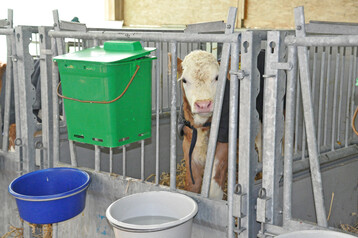 1 Die ad libitum-Tr�nke mit anges�uerter Vollmilch ist ideal an das Verdauungssystem junger K�lber angepasst und f�rdert hohe Zunahmen. Schwerg�ngige Nuckel lassen die K�lber langsam trinken und viel Speichel produzieren.