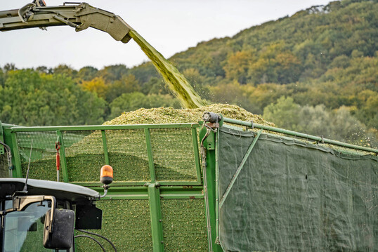 W�hrend hohe Niederschl�ge im Juli und weitere Niederschl�ge im August die Getreideernte teils vor erhebliche Herausforderungen stellten, waren sie f�r den Mais und das Ernteergebnis ein Segen.