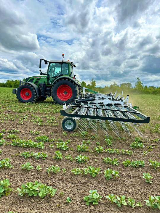 Bei Bedarf lässt sich der Strichabstand einfach verdoppeln.