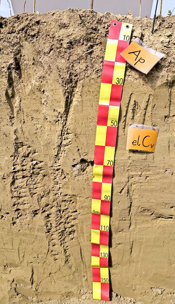 Ackerb�den aus L�ss z�hlen zu den fruchtbarsten Standorten weltweit.